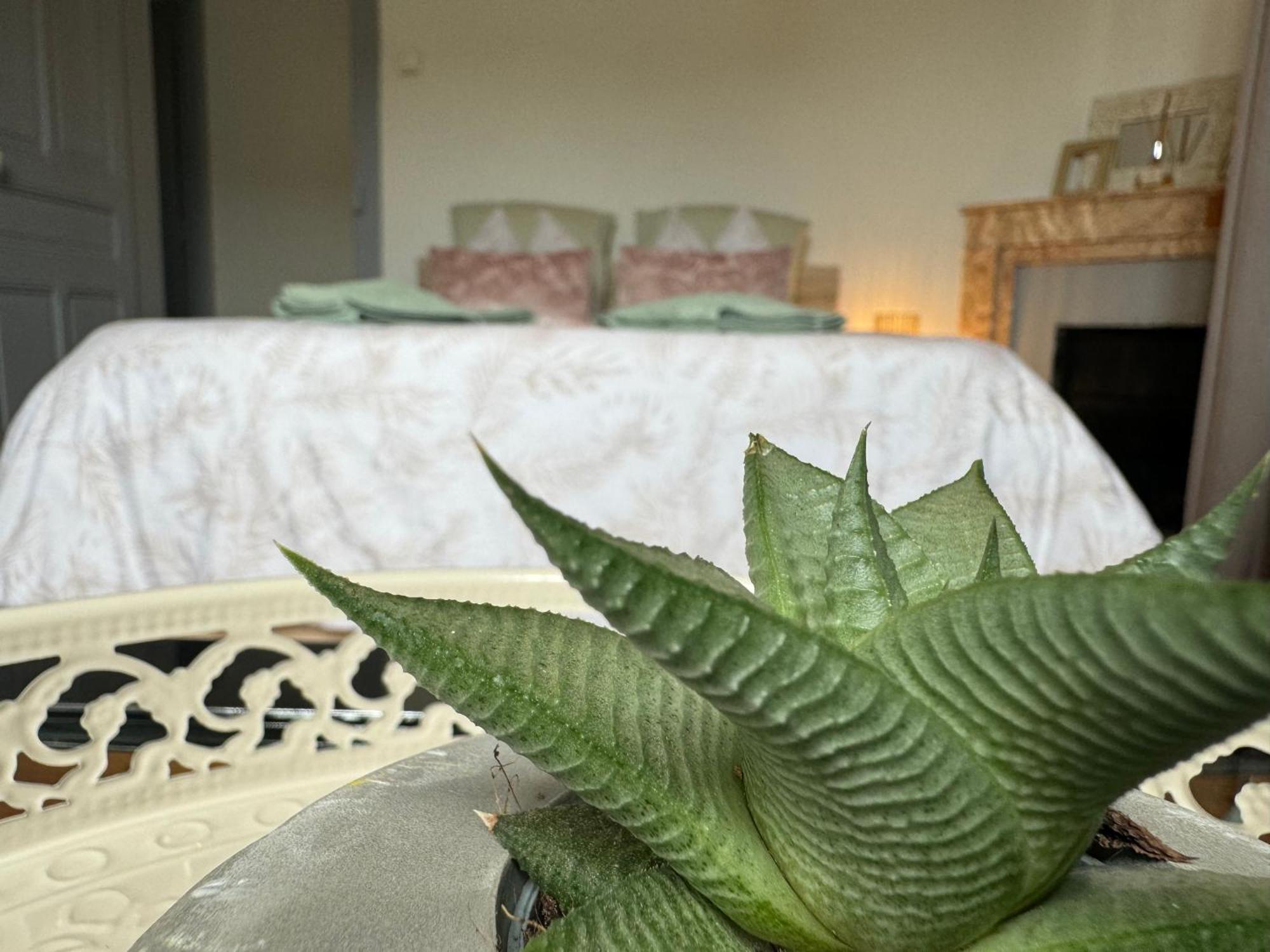 Apartment La Viarhona A Bregnier-Cordon Luaran gambar